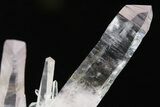 Attractive Amethyst Crystal Cluster - Las Vigas, Mexico #355019-1